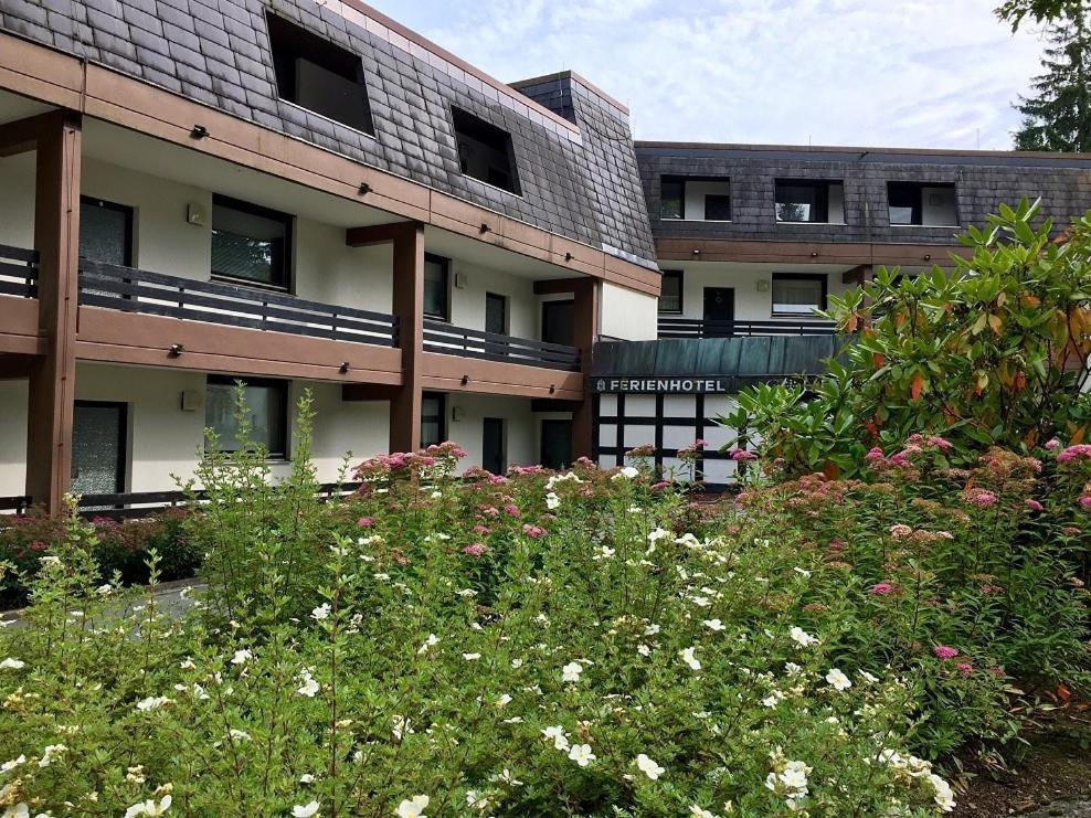 Apartamento In der Büre Winterberg Exterior foto
